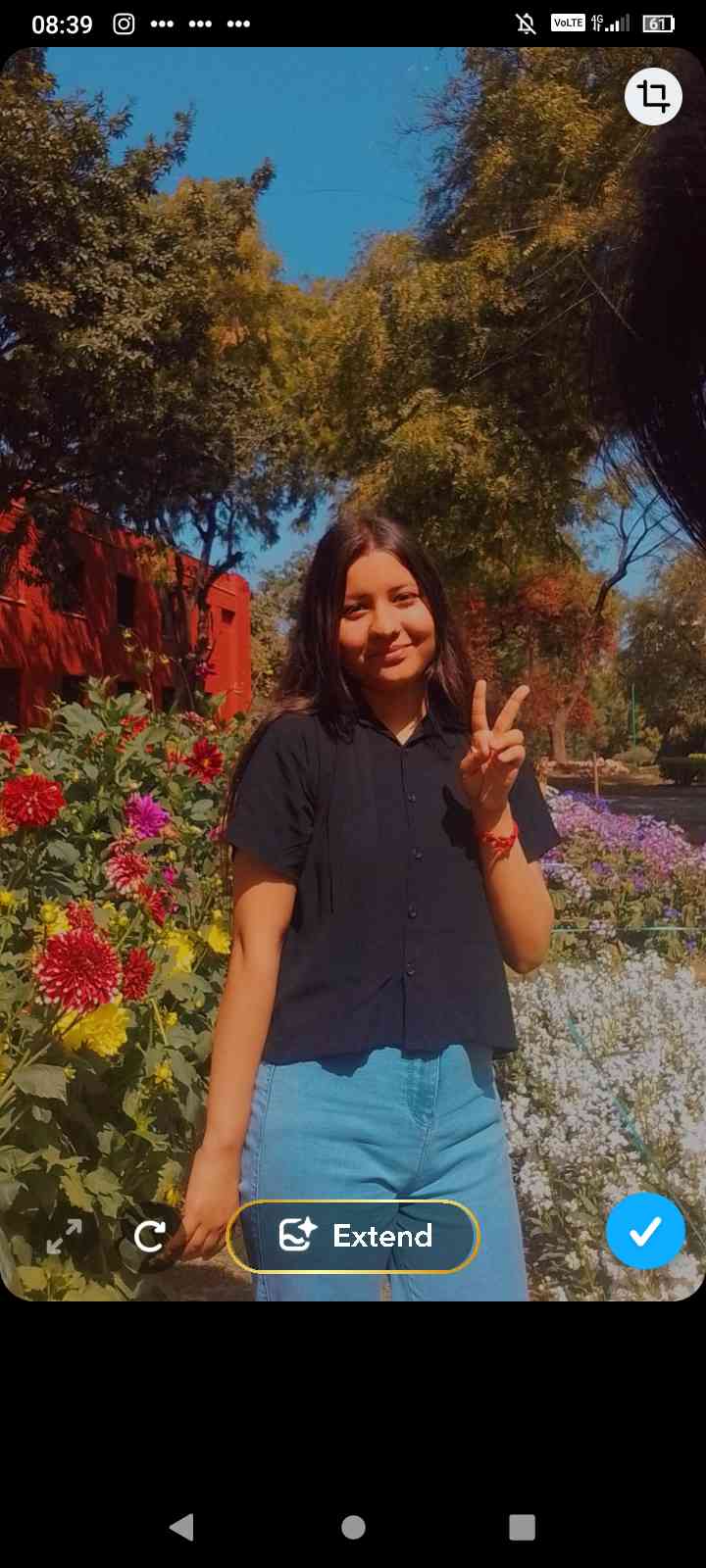 Disha