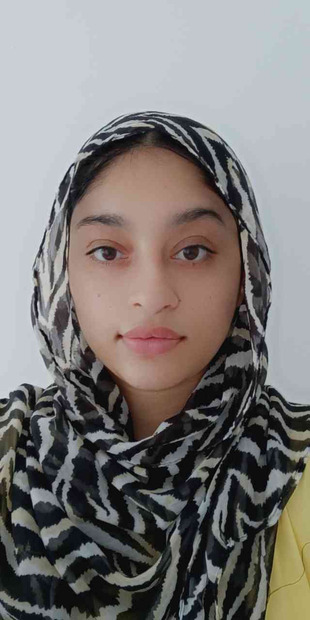Sanam Mir