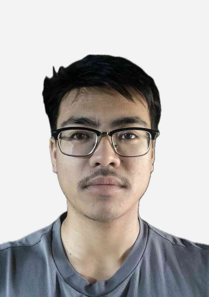 Usham Nelson Singh