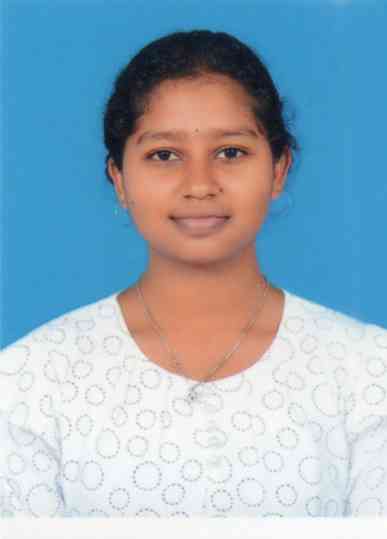 PAVAI M